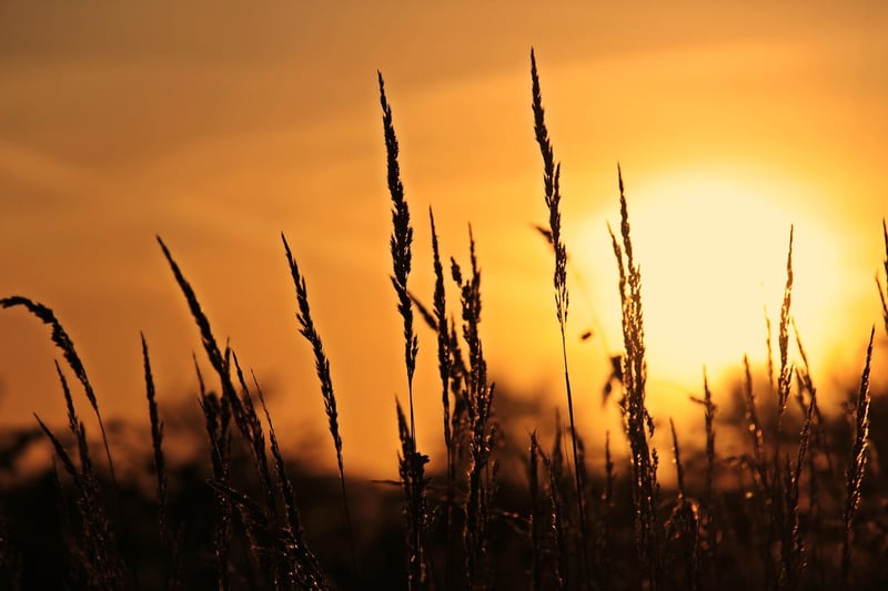 Sunrise Image
